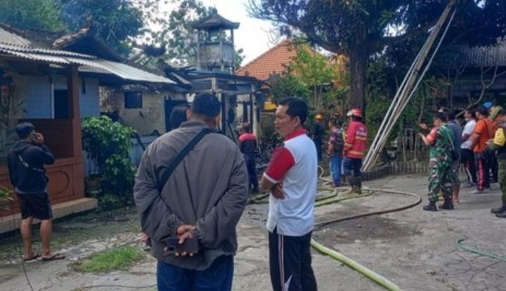 Si Jago Merah Amuk Rumah Warga Denpasar, Kerugian Sentuh Rp 100 Juta
